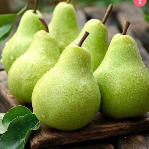 Pear / Nashpati (500 gm)