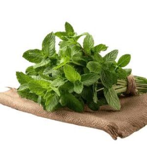 MINT LEAVES (Pudina) 100 g