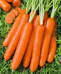 ORANGE CARROT (Gajar) 200 gm