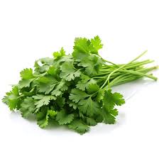 CORIANDER BUNCH (Dhaniya Patta) 100 gm